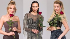 Z Love Islandu do Ruže pre nevestu. O srdce Jana budú bojovať aj tieto krásky