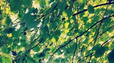 Na dušičky bude krásne počasie, ale ráno si dávajte pozor