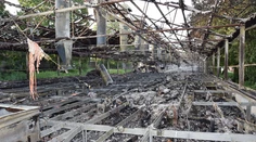 Obrovský požiar zničil chov hydiny, uhynulo 6 000 sliepok a 500 kohútov