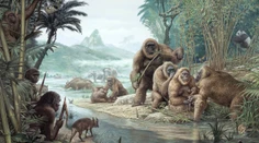 Najväčší primát histórie mal k ľuďom bližšie, než sme si mysleli. Nová štúdia mení pohľad na gigantopiteka