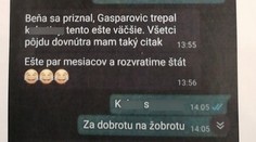 Správa policajta z NAKA: Ešte pár mesiacov a rozvrátime štát, píše kolegovi