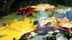 Užívajte si ešte posledné slniečko, od pondelka už vyberiete zo skríň kabáty