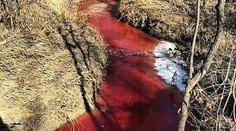 Ruskom začala tiecť krvavá rieka. Príčina miestnych šokovala
