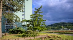 Silný vietor udiera naprieč Slovenskom. Hrozia aj lavíny v horách