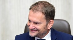 Matovičove podmienky sú výrazne v neprospech záujmu prestíže SaS, myslí si politológ