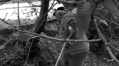 Roky sa staral o stromy so zákernou chorobou. On sám jej nakoniec podľahol