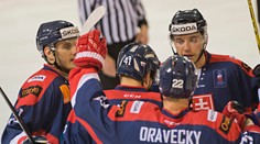 Slováci zdolali v príprave na hokejové majstrová sveta Francúzsko