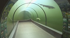 Pár kilometrov od Slovenska je miesto, kde sa môžete prejsť pod jazerom