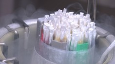 Život z mrazu. Deti si môžete odložiť o pár rokov