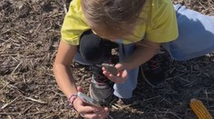 Počas prechádzky objavila niečo nečakané. Malej archeologičke vďaka pozornému oku neušla praveká vzácnosť