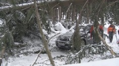 Silný vietor a sneh páchal po Slovensku škody: Šmýkali sa cesty, ľudia ostali bez elektriny