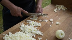 Trik, ktorý zmení krájanie cibule: Vedci ukázali, ako sa vyhnúť záchvatu plaču