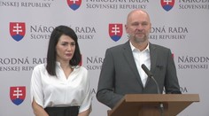 Richard Sulík ohlásil návrat do politiky. Spája sa s Janou Bittó Cigánikovou
