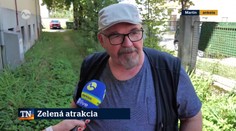Zelená atrakcia