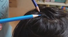 So všami si v Dobšinej nevedeli rady, pomohli občianske združenia a špeciálne šampóny