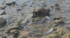 Liptov a Orava hlásia pokles výdatnosti zdrojov pitnej vody. Zisťovali sme, či sú ohrozené aj domácnosti