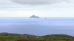 Zázračná záchrana na mori: Vyčerpaného plavca našli po 12 hodinách aj vďaka delfínom