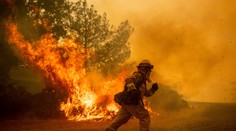 V Kalifornii vyčíňa najväčší lesný požiar v dejinách štátu