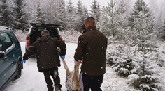 Kvóta na strieľanie vlkov je zatiaľ mimo hry. Taraba sa sústreďuje na medveďov