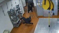 VIDEO: Strážnika v hotelovej kuchyni napadol medveď. Šelmu vypátrali a usmrtili