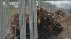 Diaľničná kuriozita medzi Prešovom a Košicami: Pochopíte to?!