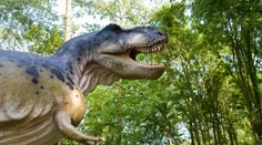 Vedci odhalili tajomstvo Tyrannosaura rexa. V jednej veci bol človeku podobnejší, než sme si mysleli