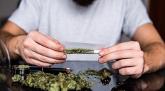 Tresty za držanie ľahších drog, vrátane marihuany, by sa mohli znížiť