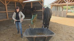 Daniela neminie na vykurovacie palivo ani cent. Neuveríte, čím kúri