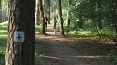 Verbálne útoky i kolízie. Spory cyklistov a chodcov v trenčianskom lesoparku Brezina sa rozhodlo vyriešiť občianske združenie