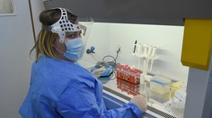 Podľa vedcov bola veľká šanca, že koronavírus na začiatku vymrie. Zabránil tomu tento fakt