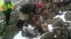 Z topiaceho ľadovca v Mexiku sa vynárajú mŕtvoly