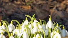 Telo dostane zabrať. Rozdiel medzi nocou a dňom bude až 20  °C