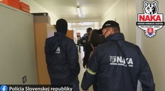 Známa režisérka opísala, ako k nim vtrhla polícia, keď boli doma aj deti. Parlament to chce zmeniť