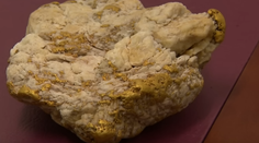 VIDEO: Amatérsky hľadač zlata našiel v Austrálii skoro päťkilogramovú hrudu. Má závratnú cenu