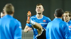 Smoliar Gyömbér si zlomil prst