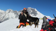 Krásny príbeh z Himalájí: Túlavý pes sa pridal k horolezcom a zdolal s nimi sedemtisícovku