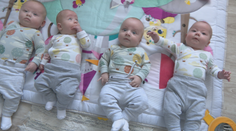 Pre široké okolie sú stredobodom pozornosti. Sú totiž hrdými rodičmi štvorčiat