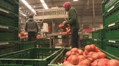 Budúci rok možno budeme cez niektoré sviatky a voľné dni pracovať. Štát totiž potrebuje peniaze