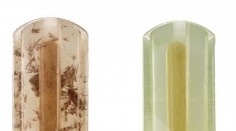 Nanuky zo znečistenej vody. Študenti ohúrili svet unikátnym projektom