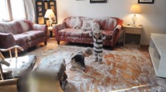 To najlepšie z najlepšieho. Toto vyviedli deti, keď sa nik nepozeral