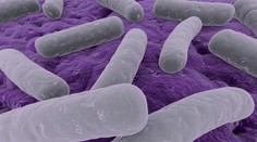 Objavil sa nový zabijak. Superbaktéria sa prenáša dotykom