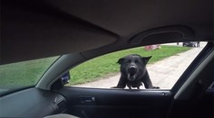 Elitné komando smúti: Náhle zomrela dlhoročná posila Gumička