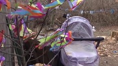 Tragédia na Ukrajine: Spiace bábätko zabila mačka