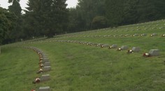 Najrozsiahlejšia obnova je na konci. Vojnový cintorín nad Liptovským Mikulášom už vyzerá dôstojne