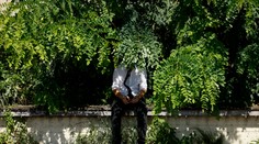 Za vysoké teploty nemôže babie leto. Na Slovensku vládne iný jav