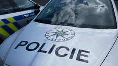 Matka bábätka, ktoré našli v kontajneri, sa k činu priznala. Hrozí jej výnimočný trest