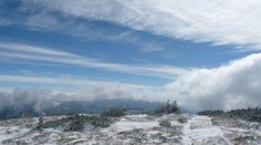 Ak idete na turistiku do hôr, buďte opatrní