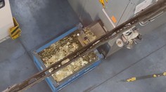 Najmenším eurocentom nevenujeme veľkú pozornosť. Toto by im však mohlo zvýšiť zberateľskú hodnotu