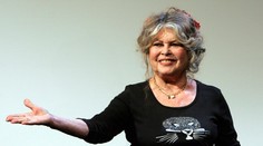 Bridgitte Bardot nechápe herečky, ktoré sa zapojili do kampane #MeToo