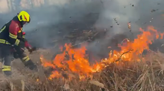 VIDEO: Veľký požiar lesa na severe Slovenska. Hodiny s ním bojujú hasiči z mnohých staníc